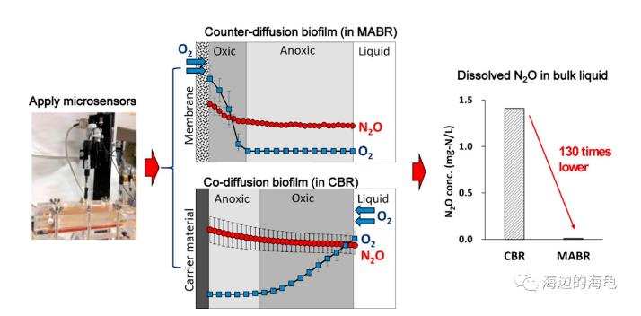 SND的MABR可同步硝化/反硝化，又能減緩N2O排放